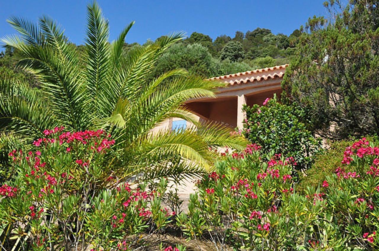 Residence U Latonu - Palombaggia Porto-Vecchio  Ngoại thất bức ảnh